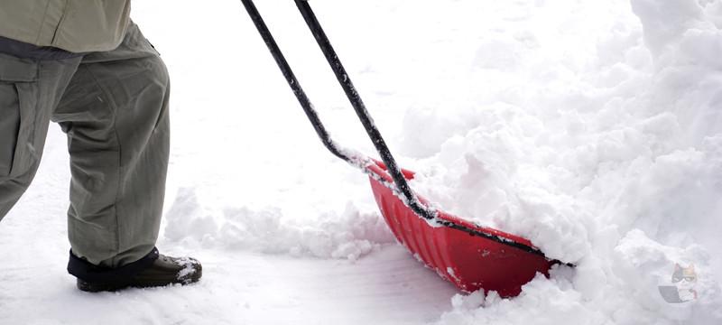 雪かきを手伝う犬がかわいいと話題wwwww