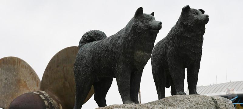 南極に行ったイッヌ達19匹wwwwww