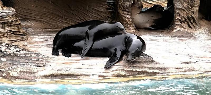 動物園行ってきたwww