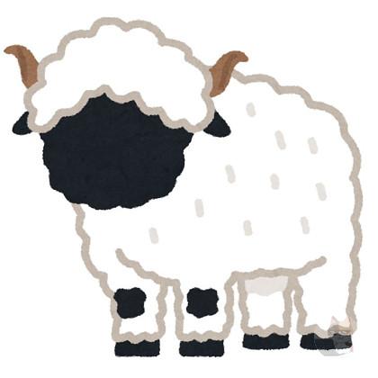 【動画】筋骨隆々なヒツジが見つかる