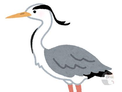 【緊急】散歩してたら鳥がいたんやが…