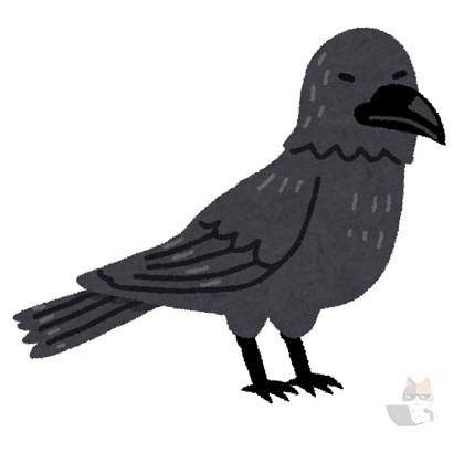 【動画】カラスVS配達ドローン