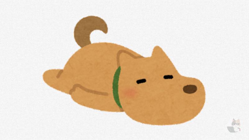 【朗報】イッヌ、くつろぐ