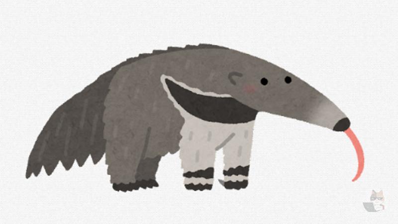 【動画】二つの頭を持つ謎の生物、発見される