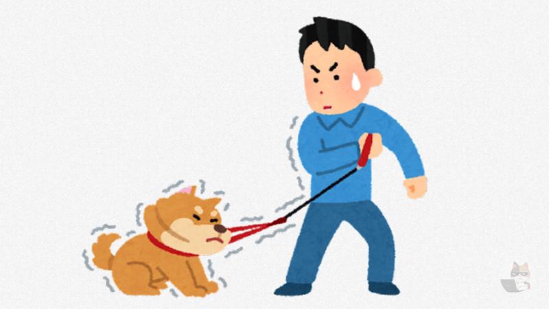 寒くて散歩行きたくなさそうなイッヌ見つかる