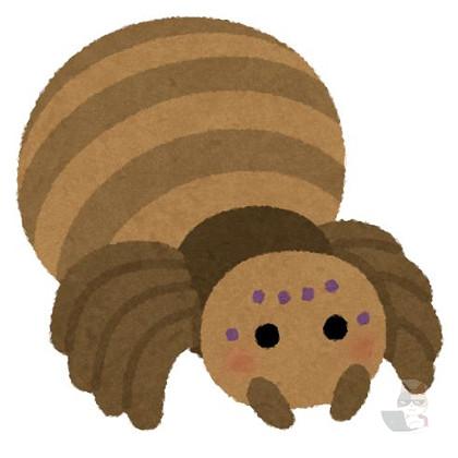 【画像】めっちょでかいクモいたwwwwwwwwwwwwwwwwwwwwwwwwwwwwwwwwwwww