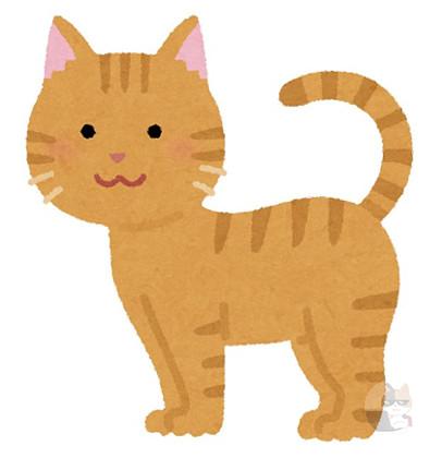 うちの猫、頬杖をついたみたいな顔になる