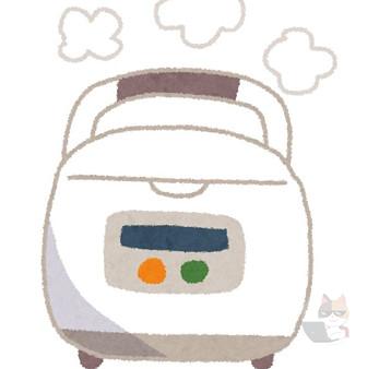 【画像】炊飯器で角煮作ったぞ