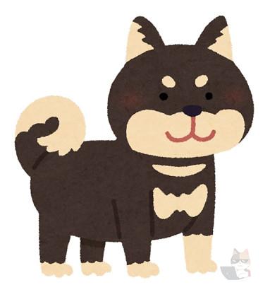 いちばんかわいいいぬはしばいぬ