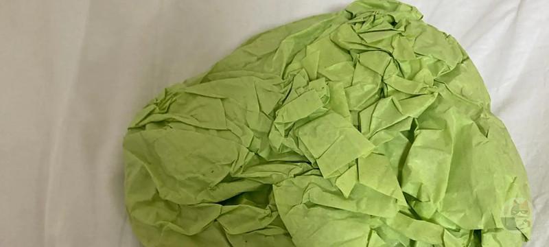 【画像】毎年、お正月は「こいつ」を食わないと終われないよなwww