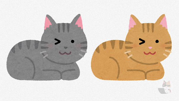 【画像】猫を複数飼う利点www