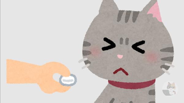 うちの猫ちゃん猫風邪で辛そう