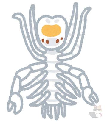 【動画】深海生物、もはや意味不明