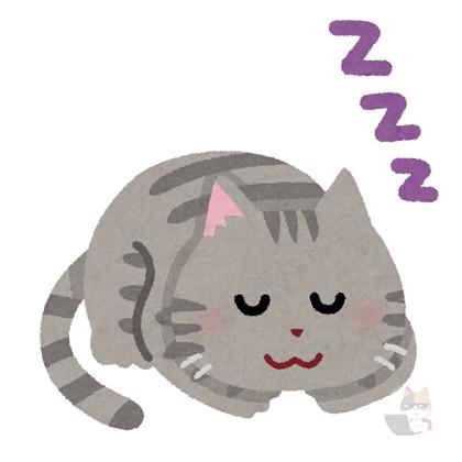 ねこが集まって寝ててワロタ