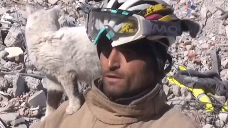 【朗報】トルコ地震で129時間ぶりに救出されたネッコさん、救助隊に懐いてしまう