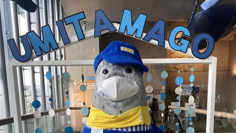 【画像】「うみたまご」に来たよwww