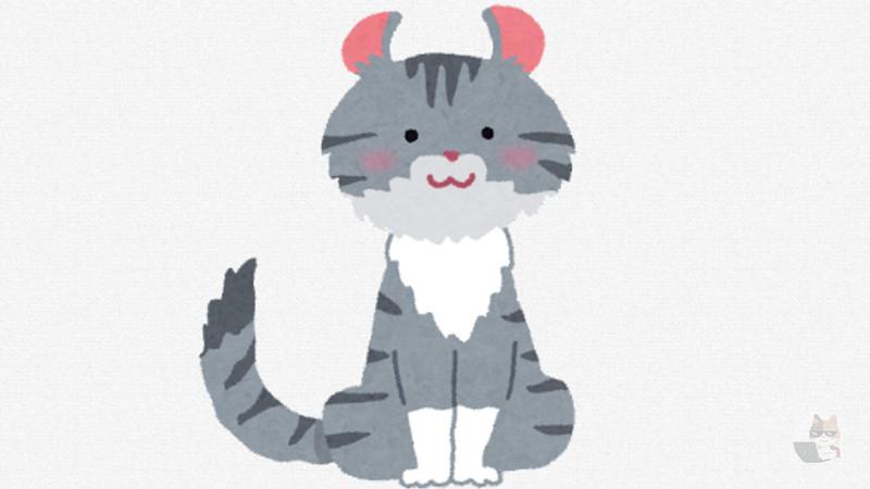 【画像】猫の種類詳しい奴おる?