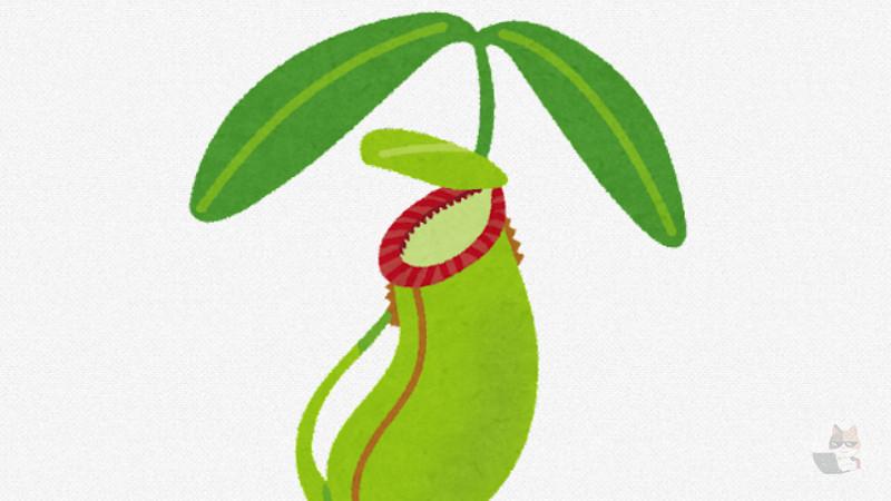 【朗報】「生きた便器」として進化した植物、見つかるwwwwwwwwwwwwww