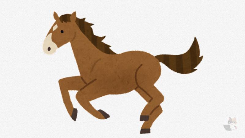 【画像】猫って馬怖くないんか?異種仲良しなネッコが癒される