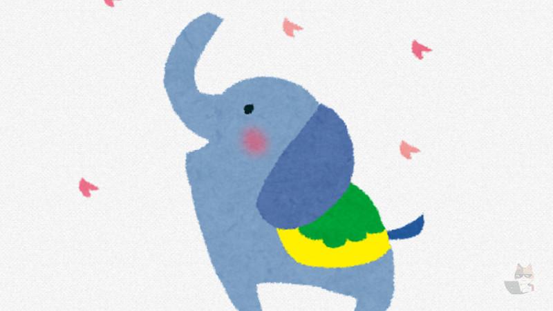 【悲報】子象さん、鳥を追いかけ回す