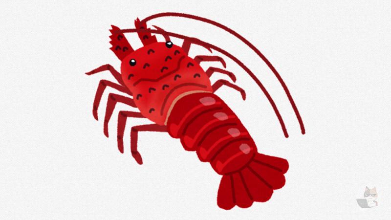 【画像】このエビデカすぎぃwwwwwwwwwww