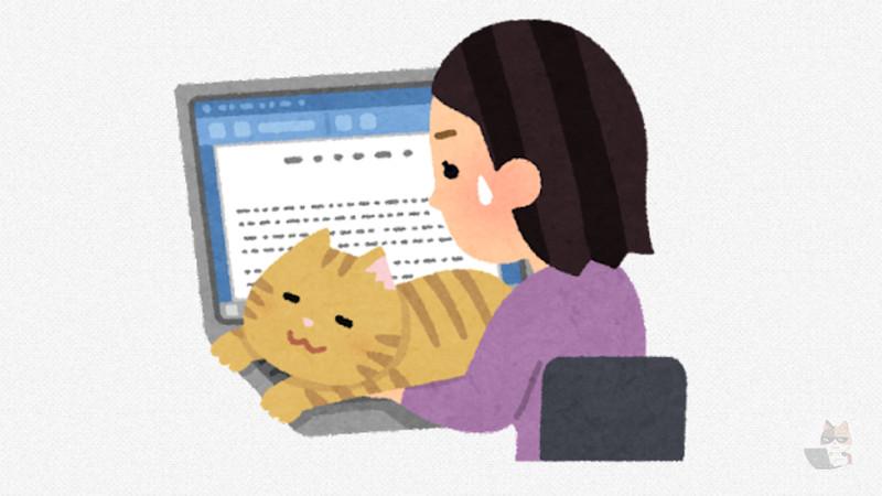 【朗報】ついにキーボード猫のり問題が解決する