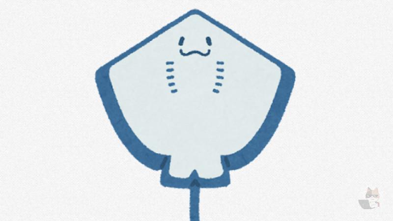 エイの稚魚、幼女みたいでかわいい…