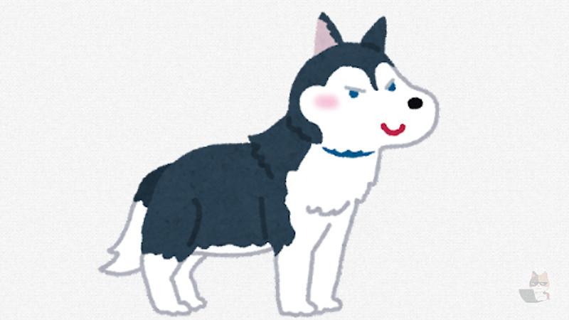 【悲報】ハスキーヌ、顔がアホすぎるWWWWWWWWWWWWWWWWWWWWWWW