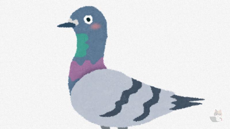 公園のハトたちがデブになっててワロタwww