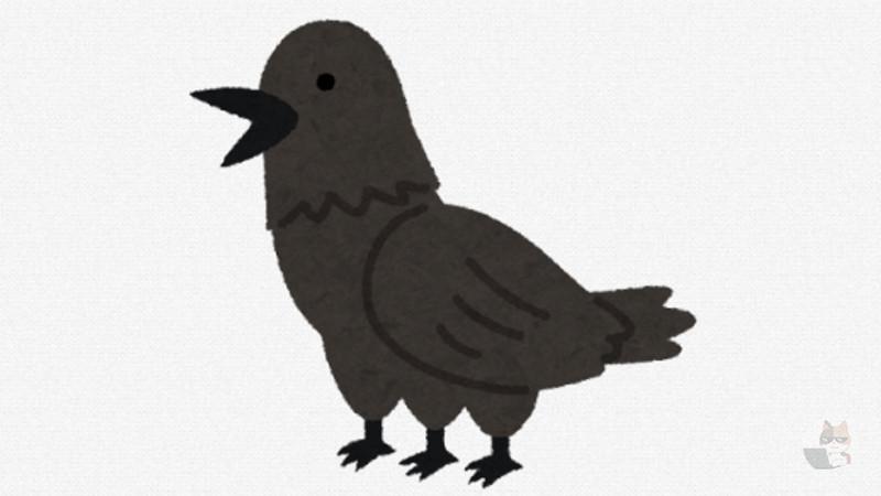 カラスってかわいいよな