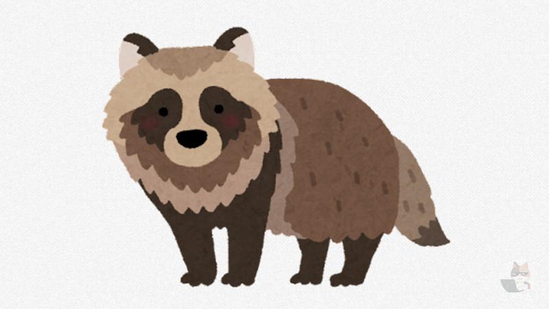 近所にタヌキがよく出るから写真撮った