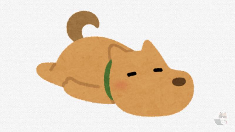 【動画】世界一肝の据わったイッヌ、見つかるwwwwwwww