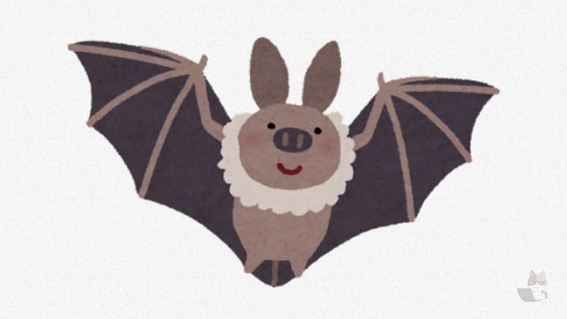 【動画】コウモリ、怖すぎる お前らの想像の5倍は怖い