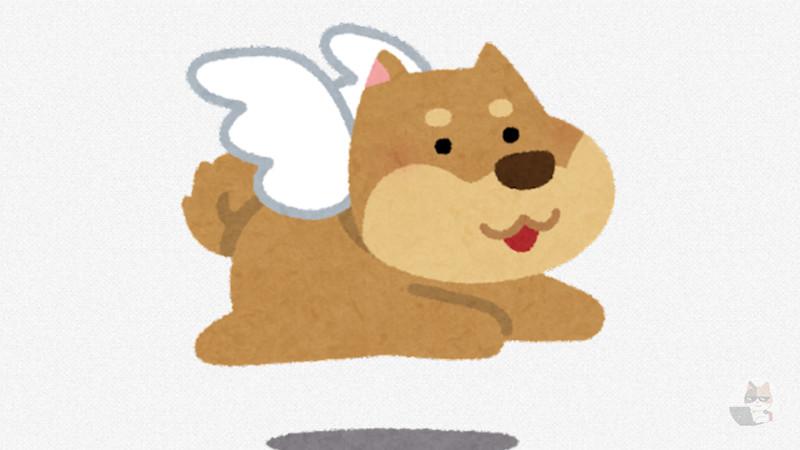 【画像】俺の死んでしまった愛犬とアーマードコアVを買ったときにのついてきたゴミを見てほしい