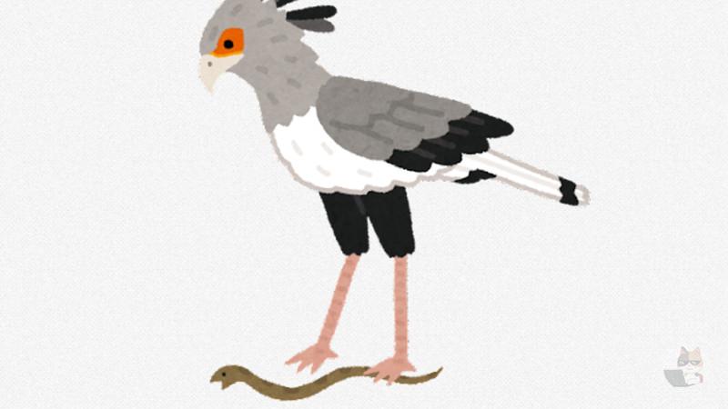 【悲報】この鳥、抱ける