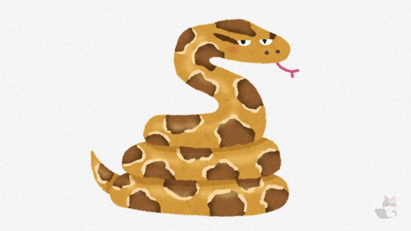 【動画】ヘビさんうっかり天井を破壊してしまうwwwwwwwwww🐍