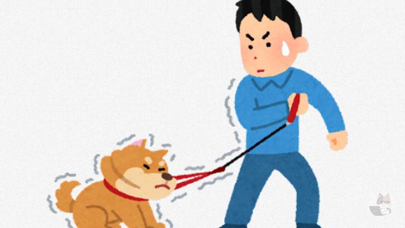 【朗報】イッヌ、立ち入り禁止を守る