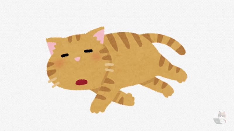 【画像】ネコの日なのにかわいいネコの画像スレが無いだと!?