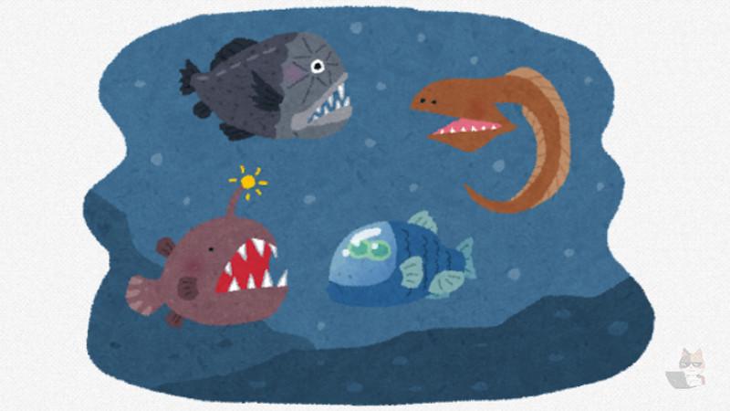 【動画】相次ぐ深海魚、今度は駿河湾にリボンイワシが撮影されるwwwwwww