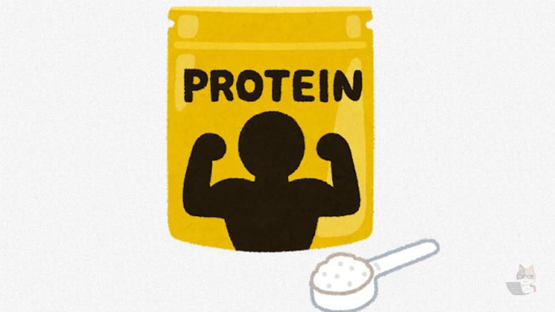 【動画】カンガルーさん、ムキムキの筋肉を見せつける