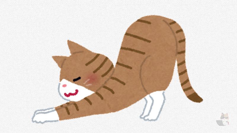 猫も寝癖ってできるの