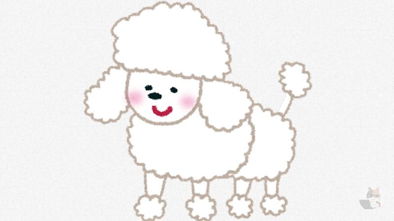 【悲報】イッヌ、おやつがないか物色する