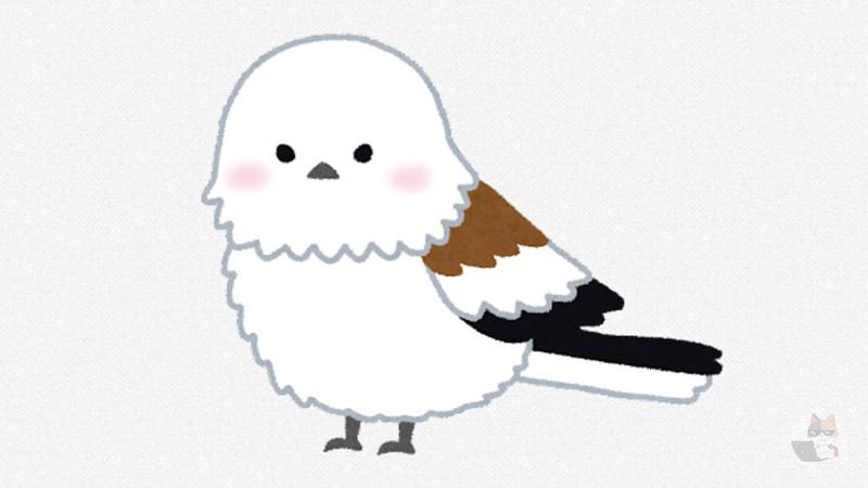【画像】シマエナガとかいう鳥クッソかわいい