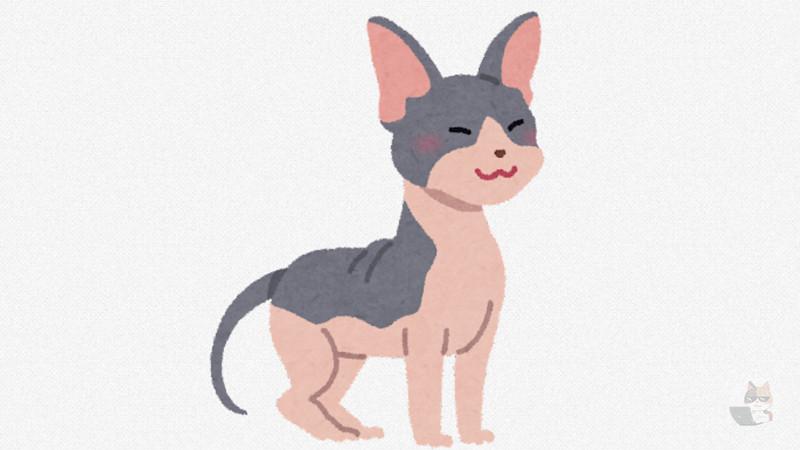 【悲報】ハゲの猫さん、ちょっとキモイ