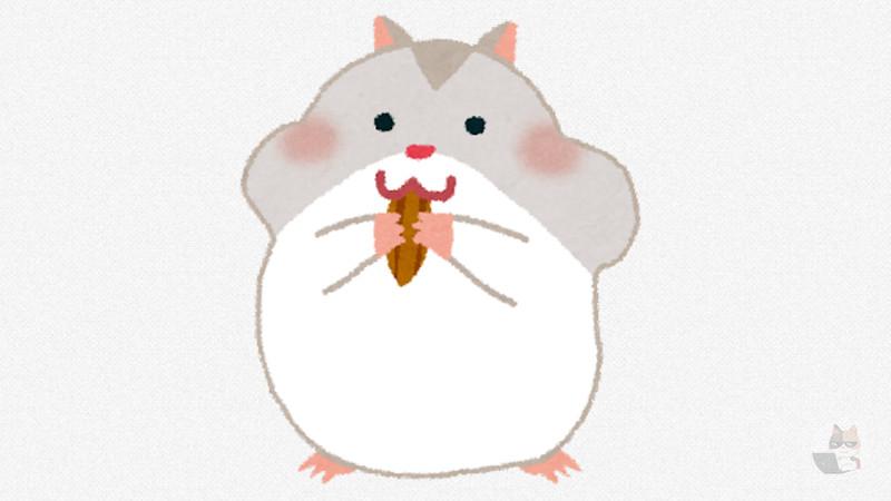 ワイが飼ってるあんまり懐いてないハムスター