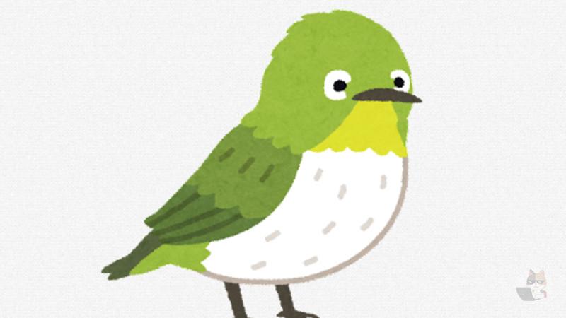 【速報】ワイの家に謎の鳥が迷い込む