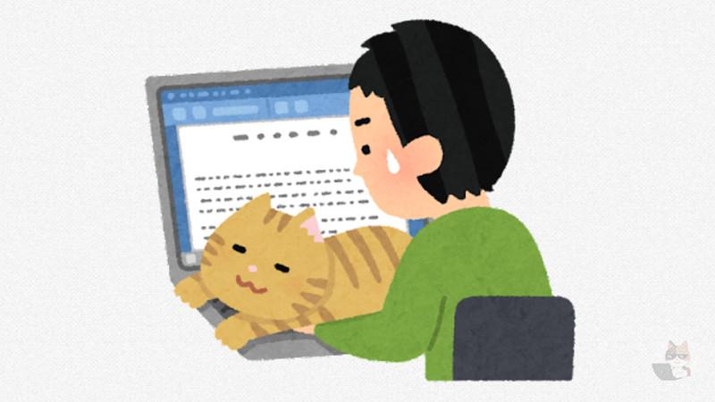 【画像】僕子供部屋おじさん(36)の猫、どうしてもPCの椅子に座りたくて数分おきに空いてないか確認しにくる