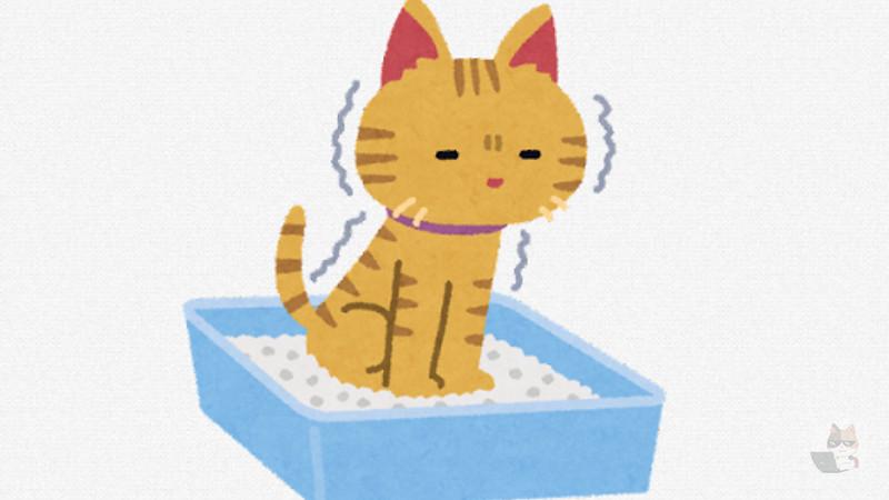 ワイんちのネッコが床にうんこしまくるんやけどどうすれば治るん?