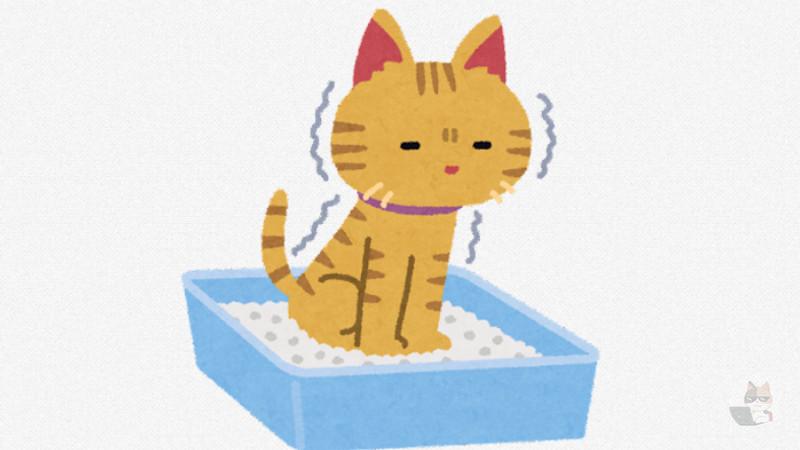 いま猫がうんこしたっぽくてめちゃくちゃくさい😦