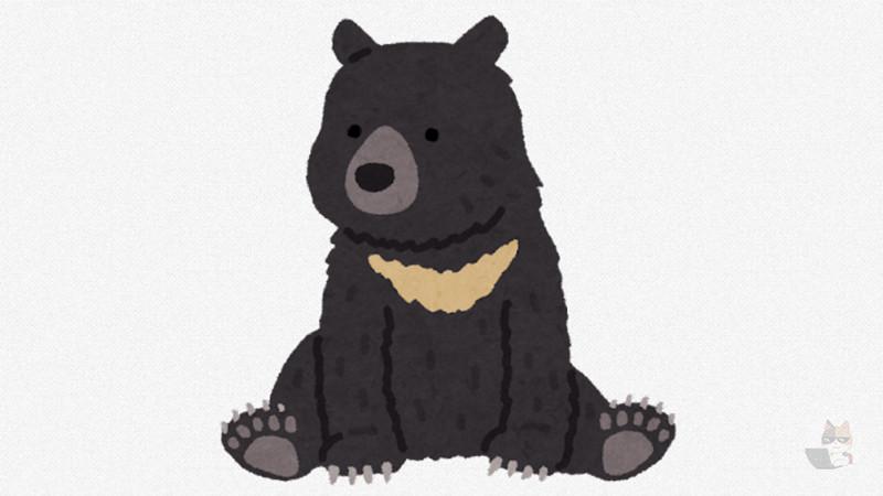 茨城の動物園、ツキノワグマ脱走を想定した訓練をするWWWWWWWWWW